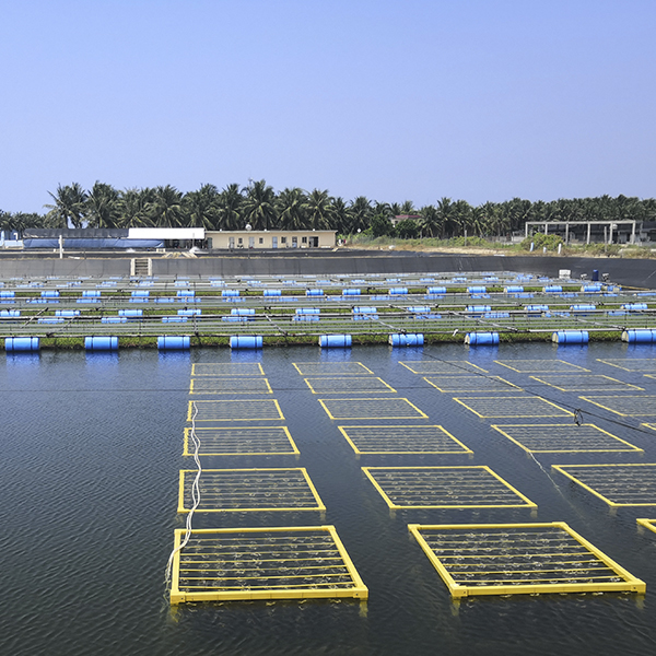 Aquaculture Water Treatment